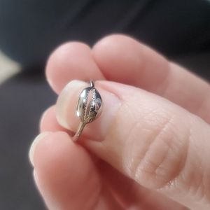 Pura Vida Cowrie Shell Toe Ring